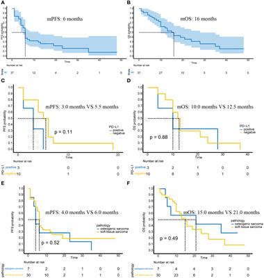 Evaluation of the efficacy and safety of immunotherapy in sarcoma: a two-center study